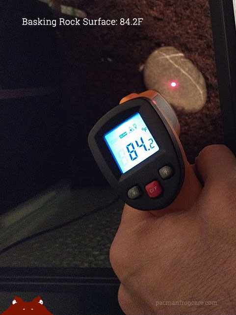 Basking rock surface temperature: 84.2F