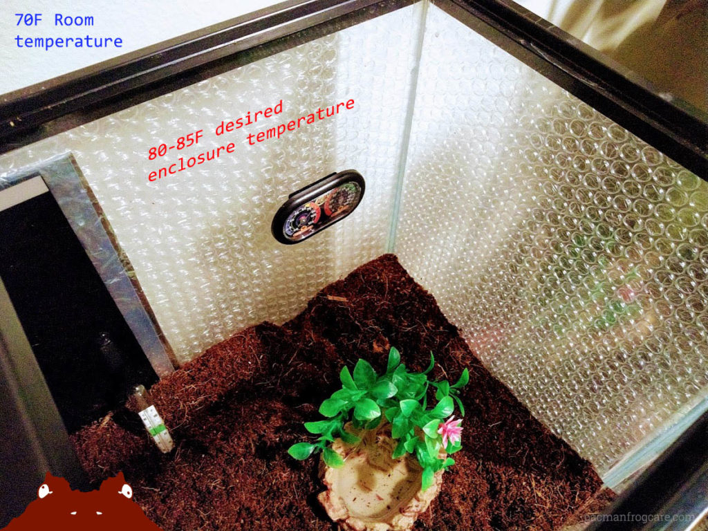 How to Increase Heat in the Terrarium 